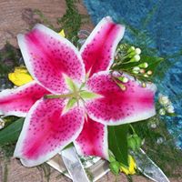 Jessica Flower Photo 18
