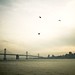 Jonathan Bridges Photo 18