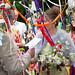 Alison Fast Photo 13