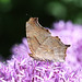 Mark Mcclain Photo 17