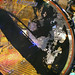 Jason Ludwig Photo 19