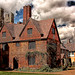 Mary Baron Photo 11