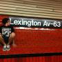 Andrew Hamilton Photo 41