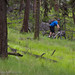 Ben Sheppard Photo 23