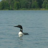 James Reavis Photo 11