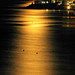 Tod Benson Photo 8