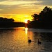 Daniel Swan Photo 15
