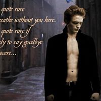 Edward Grey Photo 38