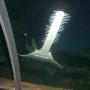 Susan Connors Photo 26