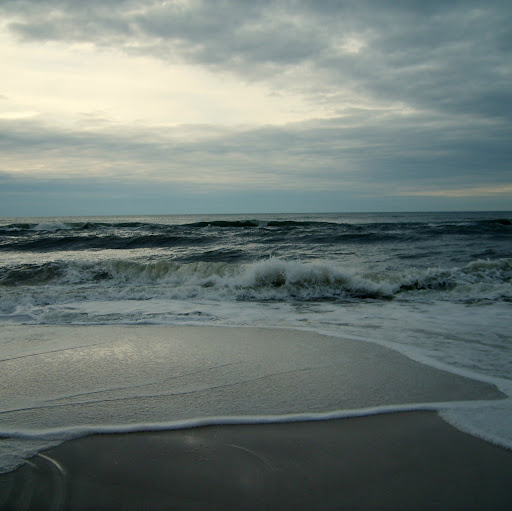 Sue Cobb Photo 33
