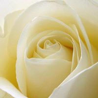 Rona Rose Photo 17