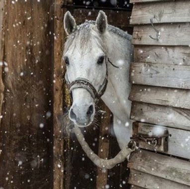 Lisa Matthews Photo 9
