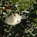 Ruby Branch Photo 3