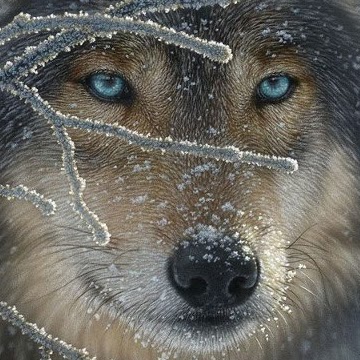 Janet Deason Photo 14