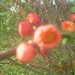 April Weathers Photo 11