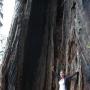 Heather Kemper Photo 13