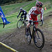 Peter Morse Photo 28