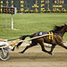Eric Tharp Photo 28