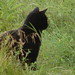 Clifton Hunter Photo 12
