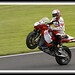 Andrew Loyd Photo 29