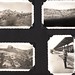Janice Ogden Photo 24
