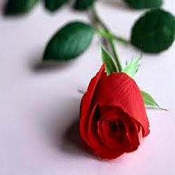 Josefina Ramirez Photo 2