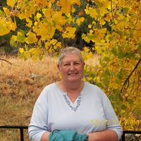 Debbie Lynch Photo 41