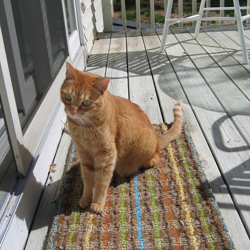 Lisa Bagwell Photo 10