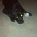 Tracy Keller Photo 10
