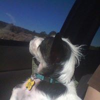 Frances Barela Photo 7