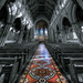 Andy Parish Photo 12