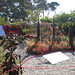 Pauline Warren Photo 16