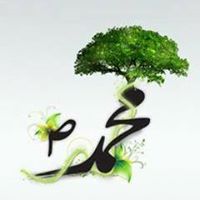 Kashif Nazir Photo 26