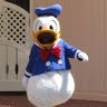 Donald Ford Photo 26