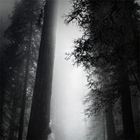 Patrick Cady Photo 30