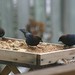 Judy Bird Photo 27