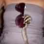 Heather Mcdonald Photo 20