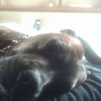 Debra Ulrich Photo 7