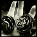 John Cone Photo 49