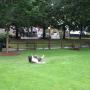 Kevin Price Photo 28