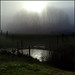 Misty Werner Photo 11