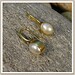Sandy Brooks Photo 33
