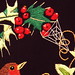 Robin Stevens Photo 13