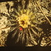 Brian Bates Photo 33