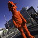 David Goch Photo 4