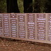 Norma Grove Photo 13