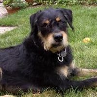 Jean Magee Photo 10