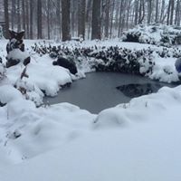 Janet Surber Photo 6
