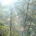 Janet Linville Photo 7