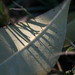 Eric Vasquez Photo 8